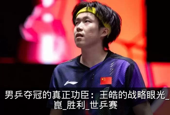 男乒夺冠的真正功臣：王皓的战略眼光_梁靖崑_胜利_世乒赛